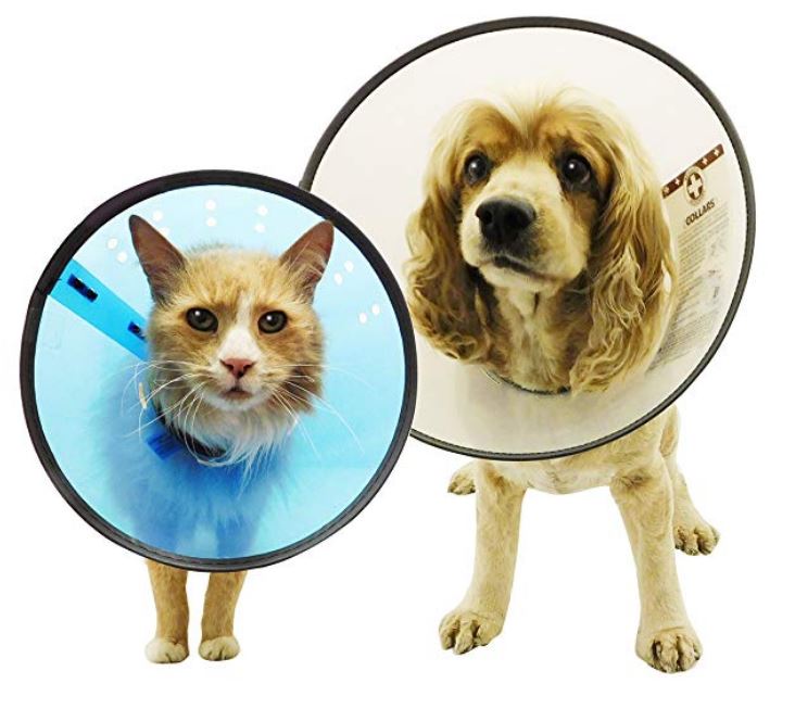 Remedy and Recovery E-Collar, X-Large - Click Image to Close